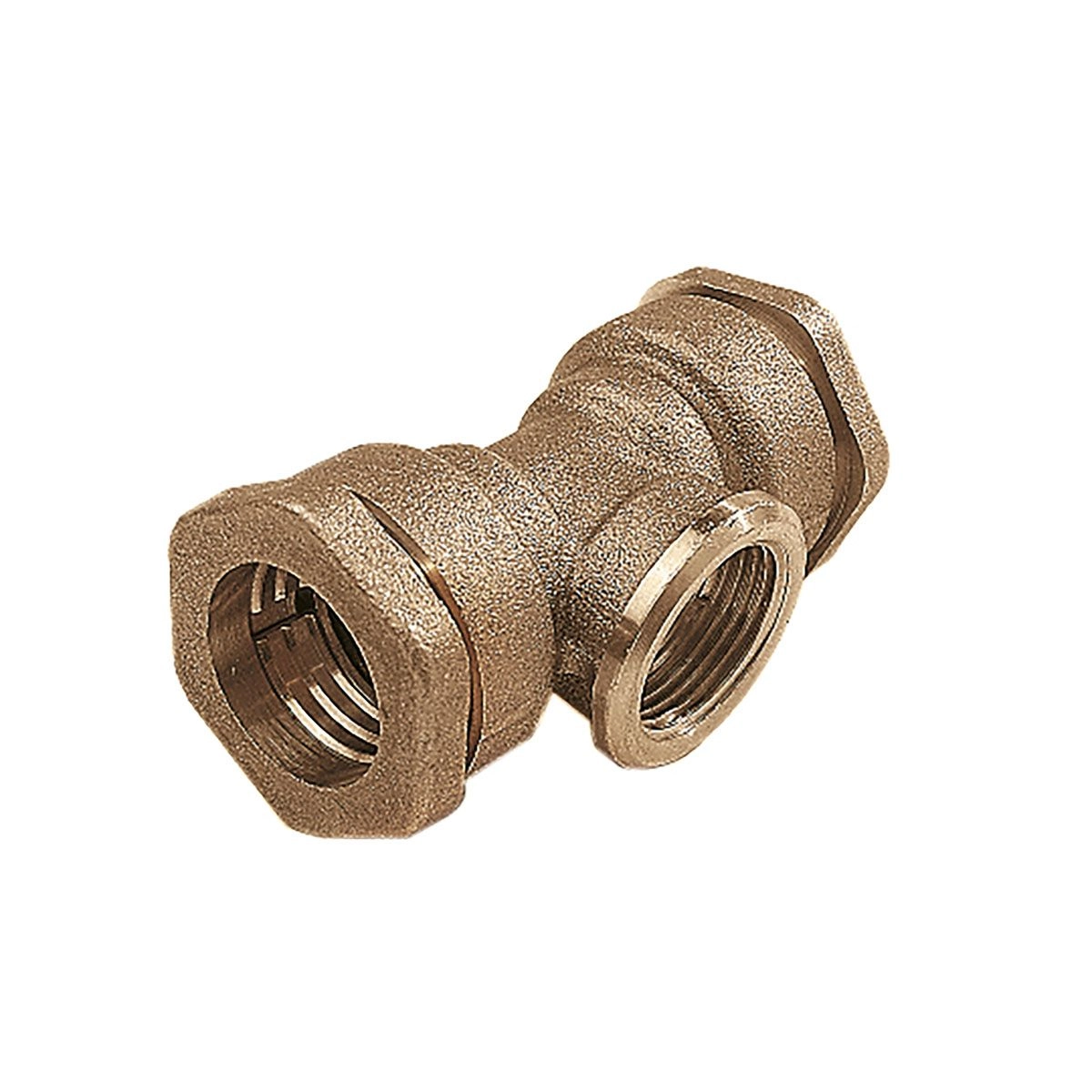 Te Derivation Laiton Femelle