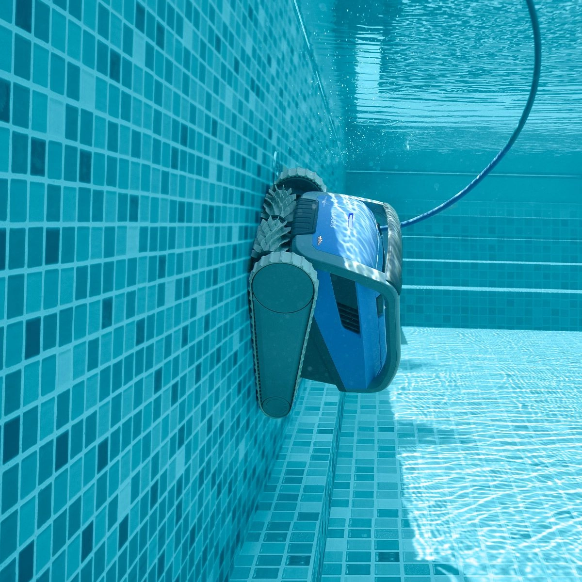 Robot De Piscine Electrique M600 Dolphin – Image 3